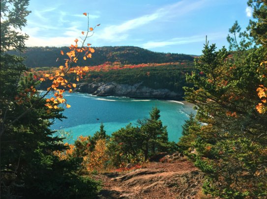 screen-shot-2016-11-17-at-5-54-19-pm